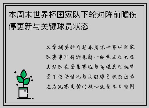 本周末世界杯国家队下轮对阵前瞻伤停更新与关键球员状态